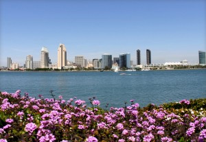 Downtown Spring Skyline