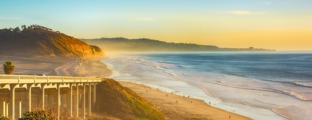 Torrey Pines Beach