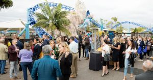 Exciting Events